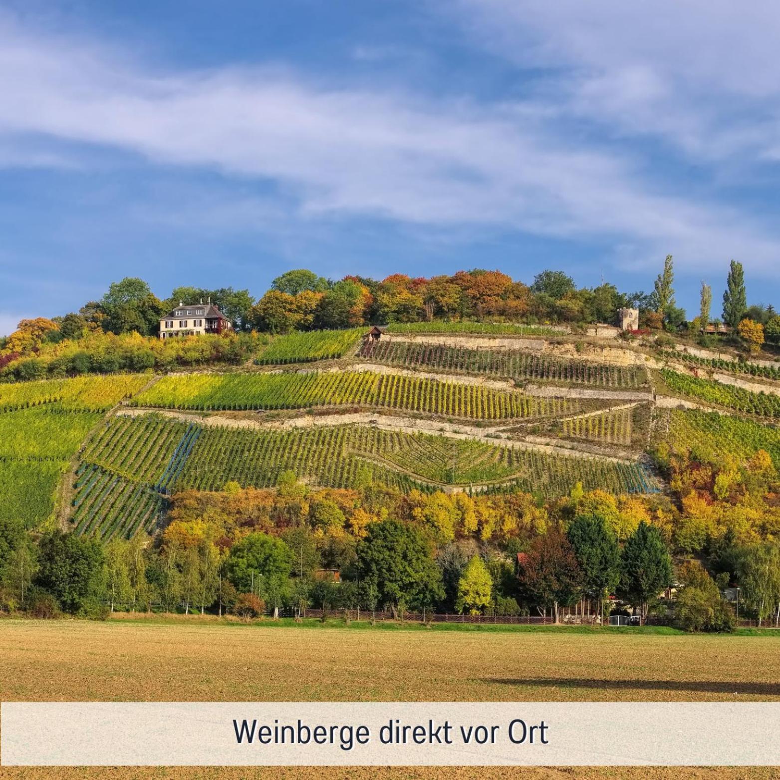 Apartmenthaus Schlag Naumburg  Esterno foto